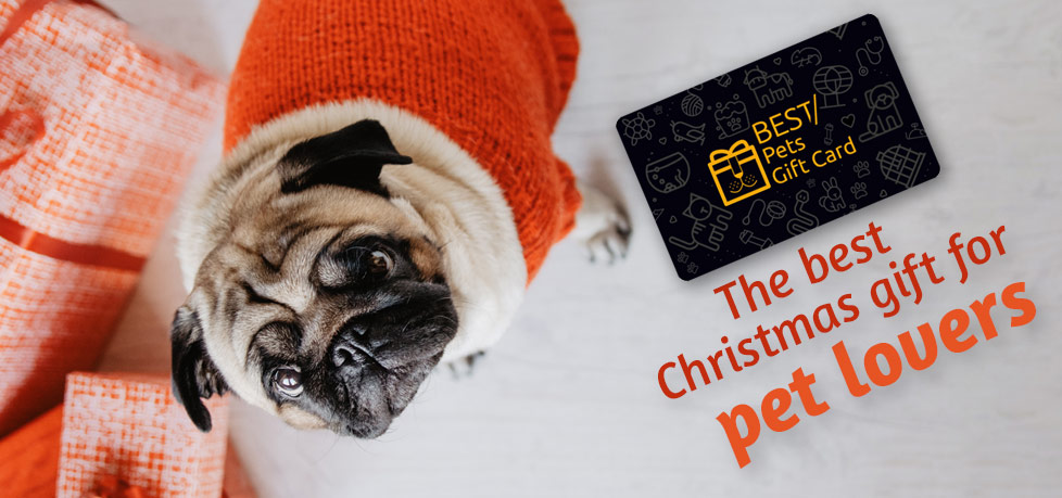 Christmas gift ideas